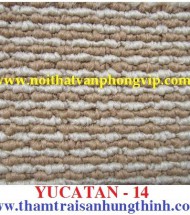 Carpet hung thinh – cung cấp thảm trải sàn 