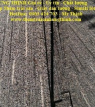 Ban tham cu qua su dung | Q.1, 2, 3, 4, 5, 6, 7, 8