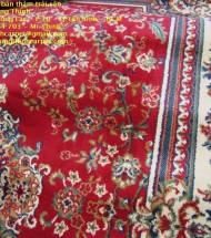 Mua thảm trải phòng khách giá rẻ 