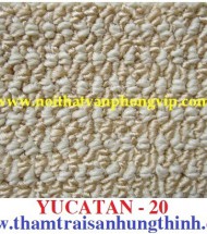 Thảm trải sàn phù hợp với mọi nhu cầu