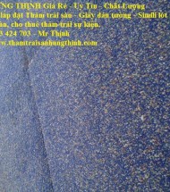 old carpet: thảm cũ