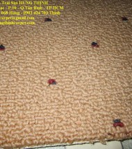 Thảm cũ qua sử dụng giá rẻ