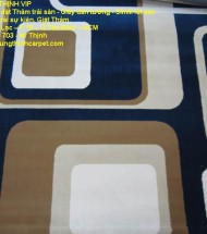 HCM _ Thanh lý tấm thảm Sofa