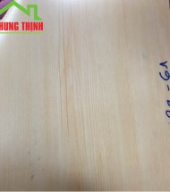Sàn Nhựa giả gỗ, tấm simili lót phòng tập thể hình