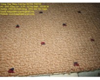  Thảm trải sàn củ tại Tp HCM 