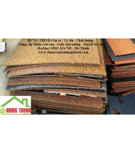 Cung cấp thảm cũ hcm | tham cu hcm