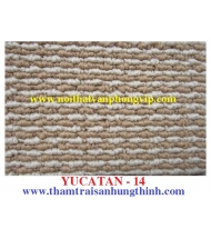 Carpet hung thinh – cung cấp thảm trải sàn 