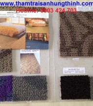 y-nghia-cua-tham-trai-san-trong-phong-thuy