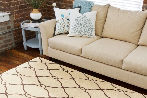 tham-trai-san-len-ngoi-trong-noi-that-hien-dai