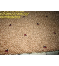 tham-trai-san-cu-tai-tp-hcm